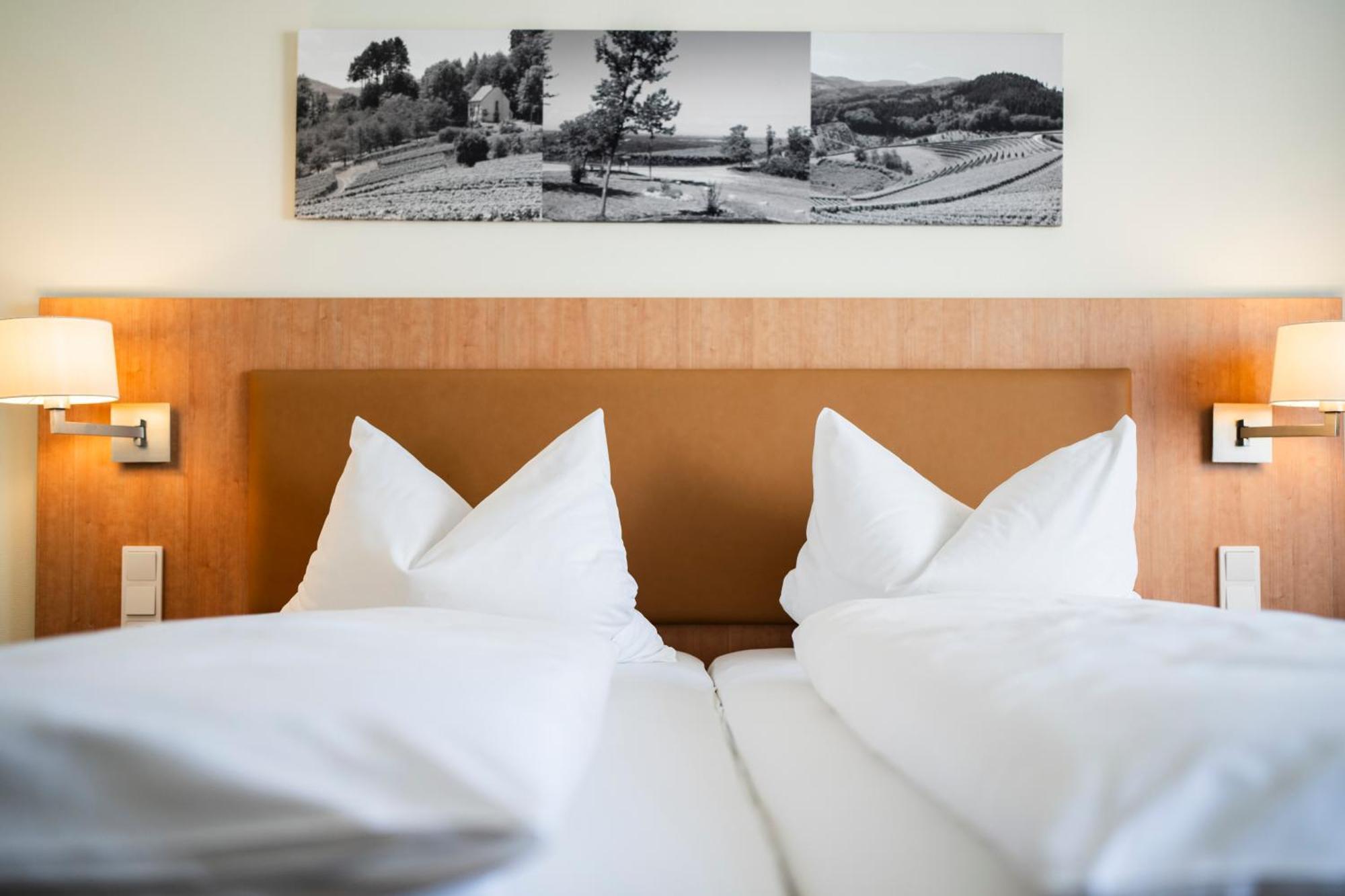 Hotel-Gasthof Rose Oberkirch  Εξωτερικό φωτογραφία