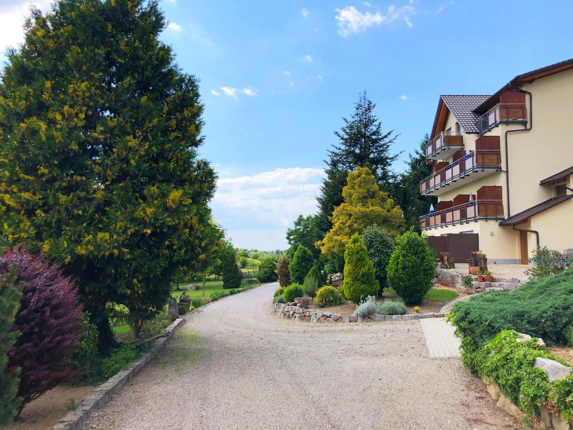 Hotel-Gasthof Rose Oberkirch  Εξωτερικό φωτογραφία