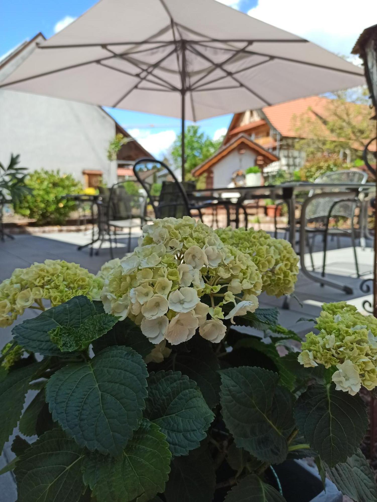 Hotel-Gasthof Rose Oberkirch  Εξωτερικό φωτογραφία